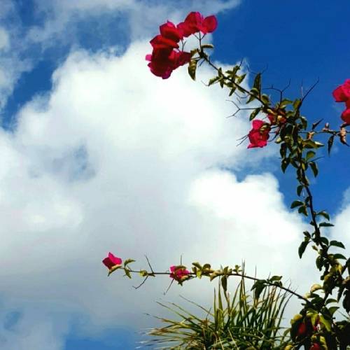  لب دریا با تو تنها‌ وای چه حالیه جای هر کی دور از ما اینجا خالیه